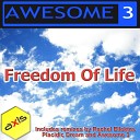 Awesome 3 - Freedom Of Life Rachel Ellektra s Friday Feeling…