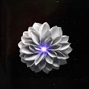 Никита Тихий Анна… - Цветок