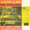 The Pipelines - Hey Baby I Want to Dance with You