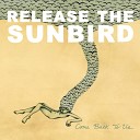 Release The Sunbird - Back Strikes Back Album Version