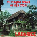 Ansambl Ladarice - Vu Plave Trnaci