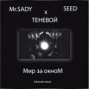 Mr SADY x SEED x ТЕНЕВОЙ - Мир за окном NR