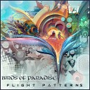 Birds of Paradise - Lucid Dream Album Mix