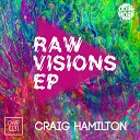 Craig Hamilton - Raw Approach Original Mix