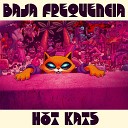 Baja Frequencia feat La Dame Blanche Paloma… - Crisis