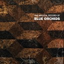 Blue Orchids - Love Is A Wave