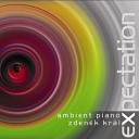 Zden k Kr l - Expectation 5