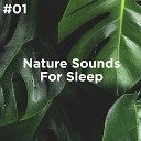 Sleep Sounds of Nature BodyHI Nature Sound… - Relaxing River Sounds