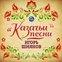 Игорь Шиянов - Единство