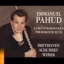 Emmanuel Pahud Eric Le Sage - 3 Sonatines pour violon No 2 in A Minor Op 137 D 385 IV Allegro Arr pour fl te et…