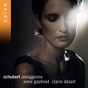 Anne Gastinel Claire D sert - Violin Sonata in D Major Op 137 No 1 D 384 I Allegro molto Arr for Arpeggione and…