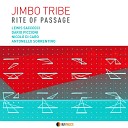 Jimbo Tribe feat Lewis Saccocci Dario Piccioni Nicol Di… - L S S R