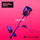 David Guetta Martin Garrix Brooks - Like I Do Coyotes Extended Remix