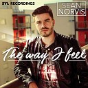 Sean Norvis Madelin Zero - The Way I Feel Album Version