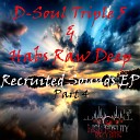 D Soul Triple 5 Habs Raw Deep - SoulFul Intimate Original Mix