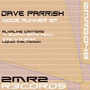Dave Parrish - Stealth Blaster Original Mix