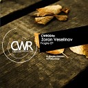 Zoran Veselinov - Fragile Chicken Original Mix