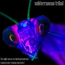Subterranean Tribal - The Night Moves On Underground Mix