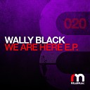 Wally Black - I See You Original Mix