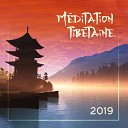 Zen m ditation tib taine - Relief total