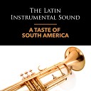 A Taste Of South America - Latin Lover Instrumental
