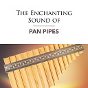 Pan Pipes - Michelle