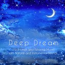 Sleeping Music Masters - Sweet Song Melodic Music