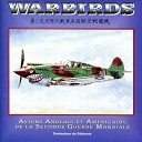 Warbirds - PIPER L 4 GRASSHOPPER Warm of of the Engine and Rolling Out On the Taxi PIPER L 4 GRASSHOPPER Chauffe moteur et roulage…