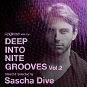 Sascha Dive - Deep Into Nite Grooves Continuous DJ Mix