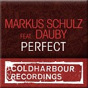 Markus Schulz feat Dauby - Perfect Agnelli Nelson Remix