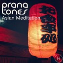 Prana Tones - Lost in Japan