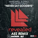 Hardwell Dyro - Never Say Goodbye AES Remix Edit Timon