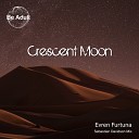 Evren Furtuna - Crescent Moon Sebastian Davidson Remix