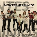 Grupo De Concertinistas Montes Herm nios - Vira dos Amigos