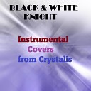 Black White Knight - Fields Remix