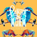 Broken Back - Halcyon Birds LarryKoek Remix