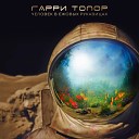 Гарри Топор - Поручик Ржевский