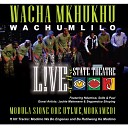 Wacha Mkhukhu Wachumlilo - Ke Bone Lesedi