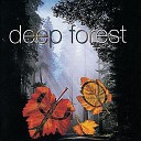 Essence Of The Forest - Deep Blue Sea