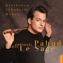 Emmanuel Pahud Eric Le Sage - Serenade for Flute and Piano in D Major Op 41 V Allegro scherzando e…