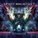 Spirit Architect Djantrix - Spectro Granular Original Mix