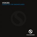 VoIces - Dance of The Snowflakes Original Mix