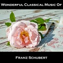 Wonderful Classical Music Of Franz Schubert - Sonata in B flat major D 960 in B Flat Major D960 I V Allegro manon troppo…