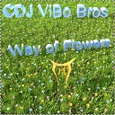 CDJ ViBo Bros - Way of Flowers Original Mix