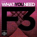 F3 - What You Need Original Mix