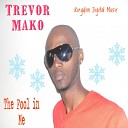 Trevor Mako - The Fool In Me Original Mix