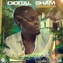 Digital Sham - Celebration Radio Edit