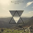 David Inexacte - Nostalgina D File Remix