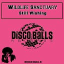 Wildlife Sanctuary - Still Wishing Original Mix