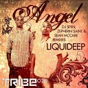 Liquid Deep - Angel DJ Spen and Gary Hudge Radio Edit